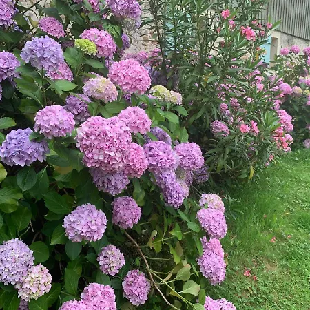 Majellon Grand Sainte-Christie-d'Armagnac