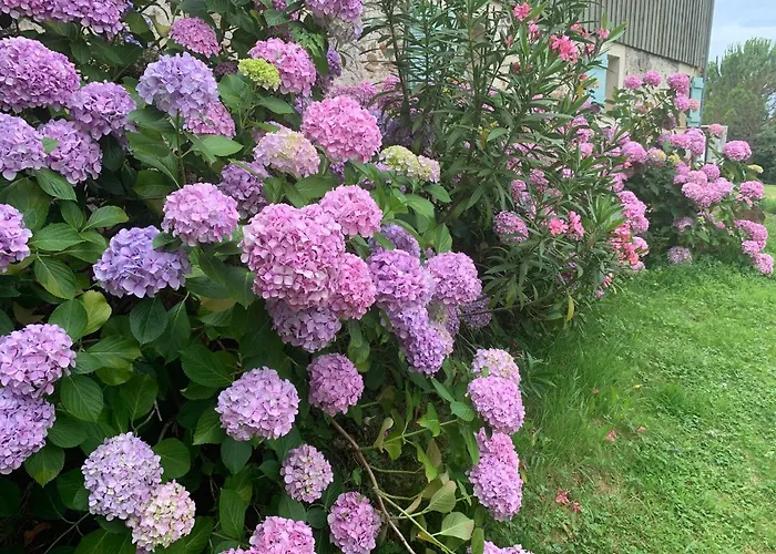 Majellon Grand Sainte-Christie-d'Armagnac