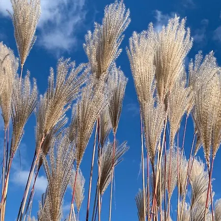 Apartment Majellon Grand *